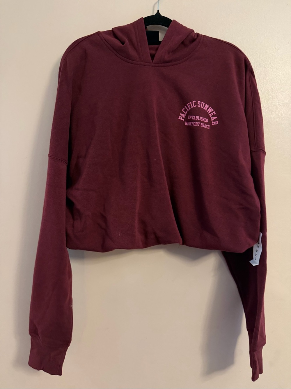 PacSun Cropped hoodie